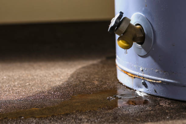  Norway, MI Water damage restoration Pros