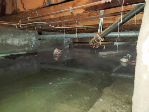 Best Fire Damage Restoration  in Norway, MI