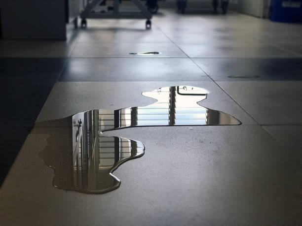 Best Water damage restoration experts  in Norway, MI