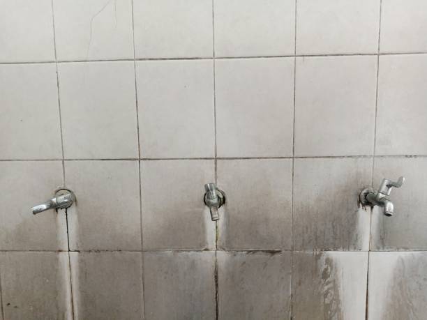 Best Emergency water damage restoration  in Norway, MI