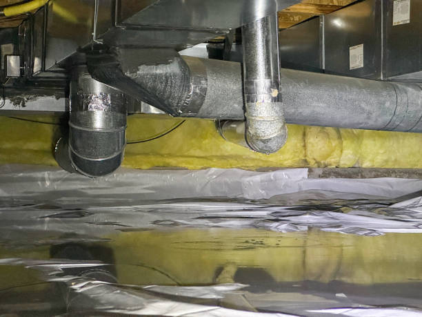 Best Mold removal after water damage  in Norway, MI