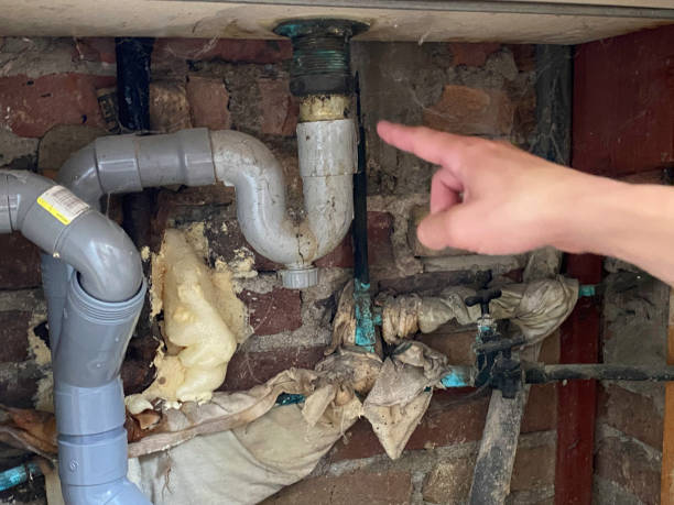 Best Professional water damage repair  in Norway, MI