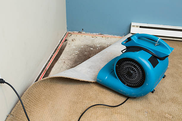 Best Residential water damage restoration  in Norway, MI